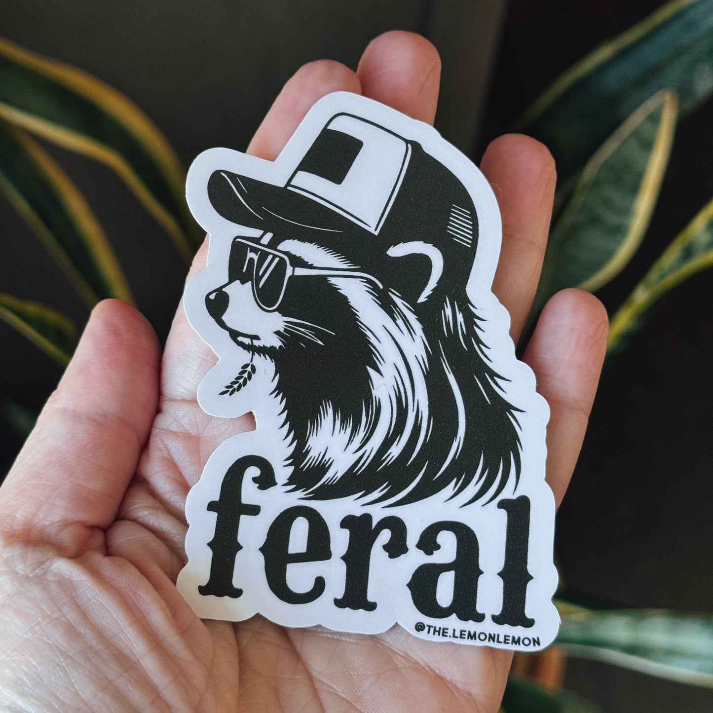 Feral Raccoon Sticker | Trash Panda Stickers | Trucker Hat | Southern | Vinyl Decal | Funny Water Bottle Window Laptop Tumbler
