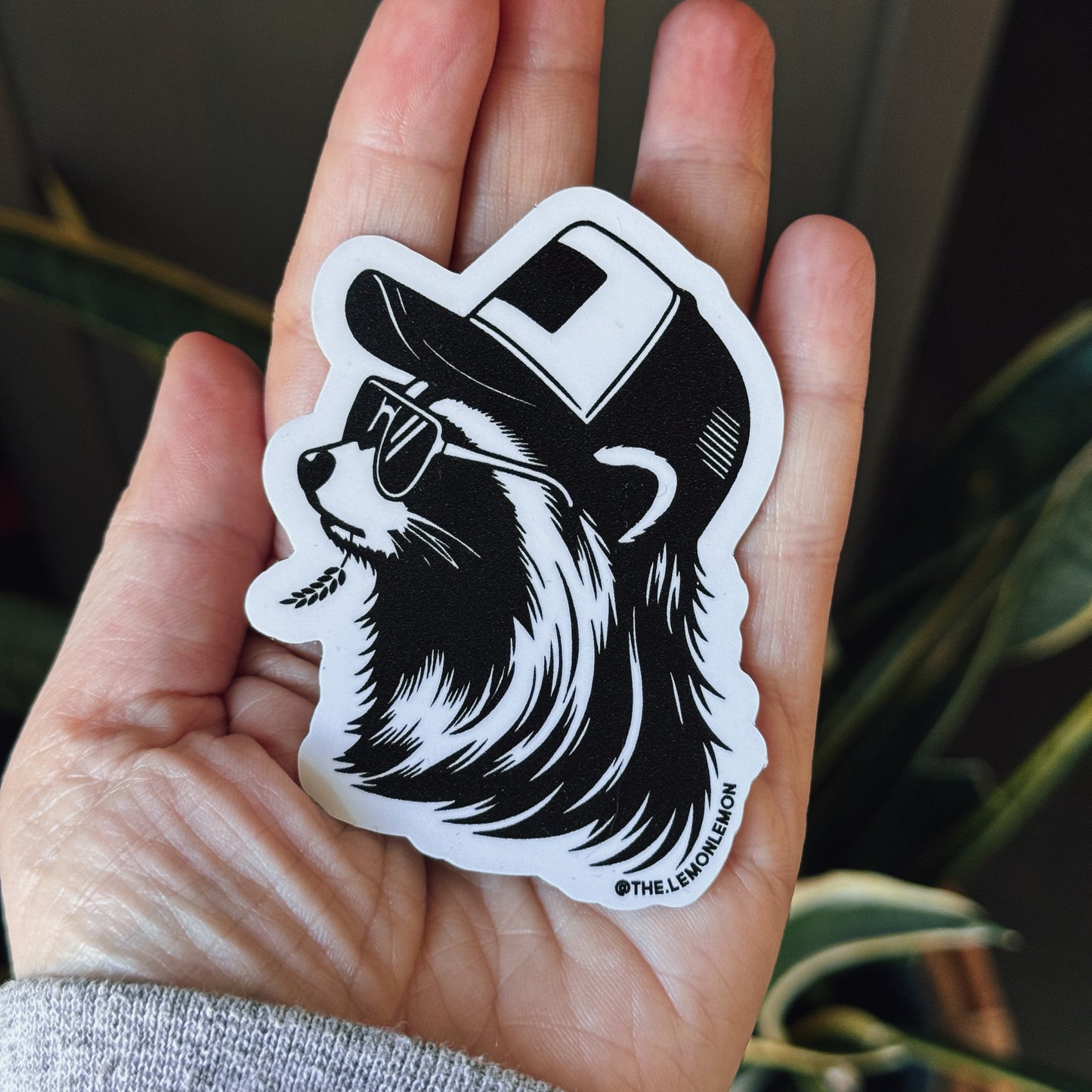Feral Raccoon Sticker | Trash Panda Stickers | Trucker Hat | Southern | Vinyl Decal | Funny Water Bottle Window Laptop Tumbler