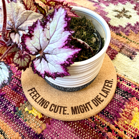 FEELING CUTE, MIGHT DIE LATER // Funny Cork Plant Mat • Personalized Accessories Absorbent Coaster - Houseplant Lover Gift - Protective Surface Tray