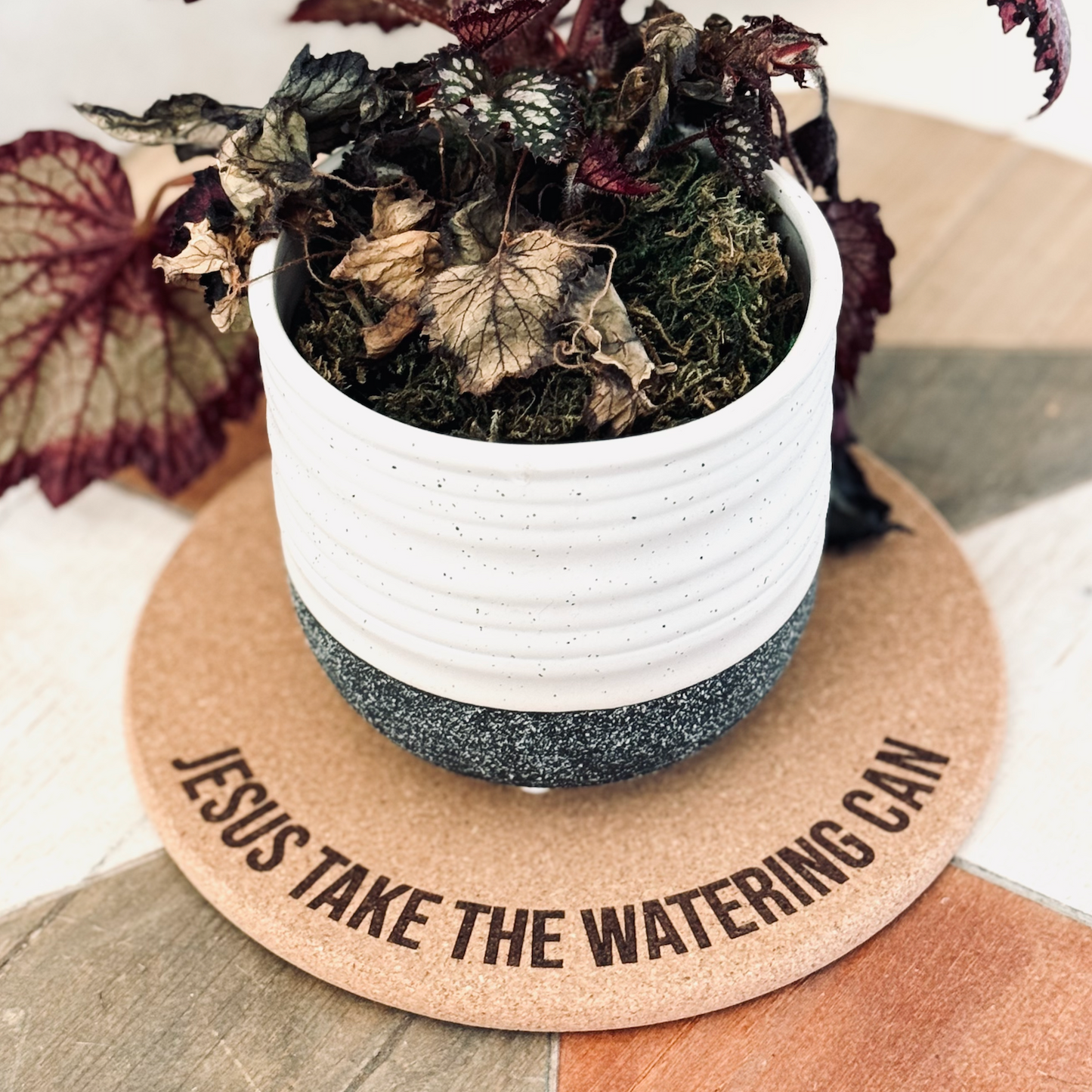 JESUS TAKE THE WATERING CAN // Funny Cork Plant Mat – Millennial & Gen Z Humor | Surface Protector | Personalized Option