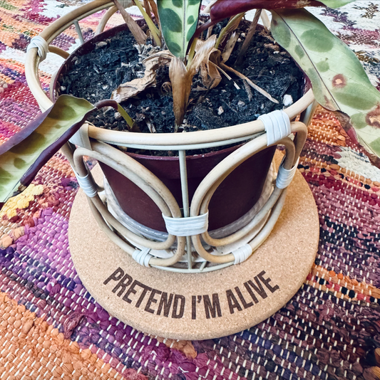 PRETEND I'M ALIVE // Funny Cork Plant Mat – Millennial & Gen Z Humor | Surface Protector | Houseplant Accessory