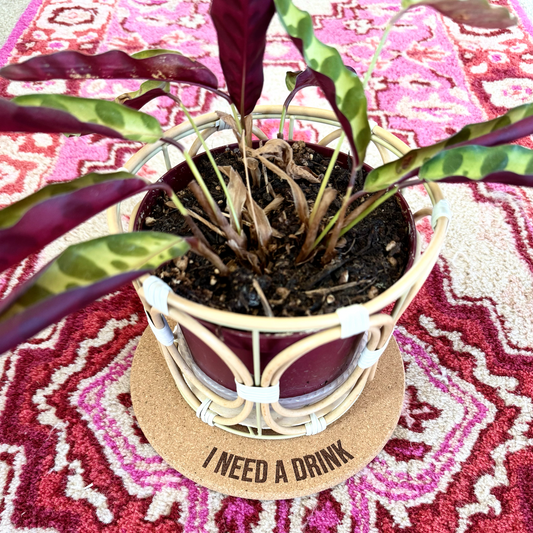 I NEED A DRINK // Funny Cork Plant Mat – Millennial & Gen Z Humor | Surface Protector | Houseplant Accessory