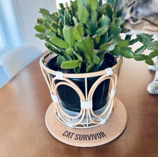 CAT SURVIVOR // Funny Cork Plant Mat – Millennial & Gen Z Humor | Surface Protector | Houseplant Accessory