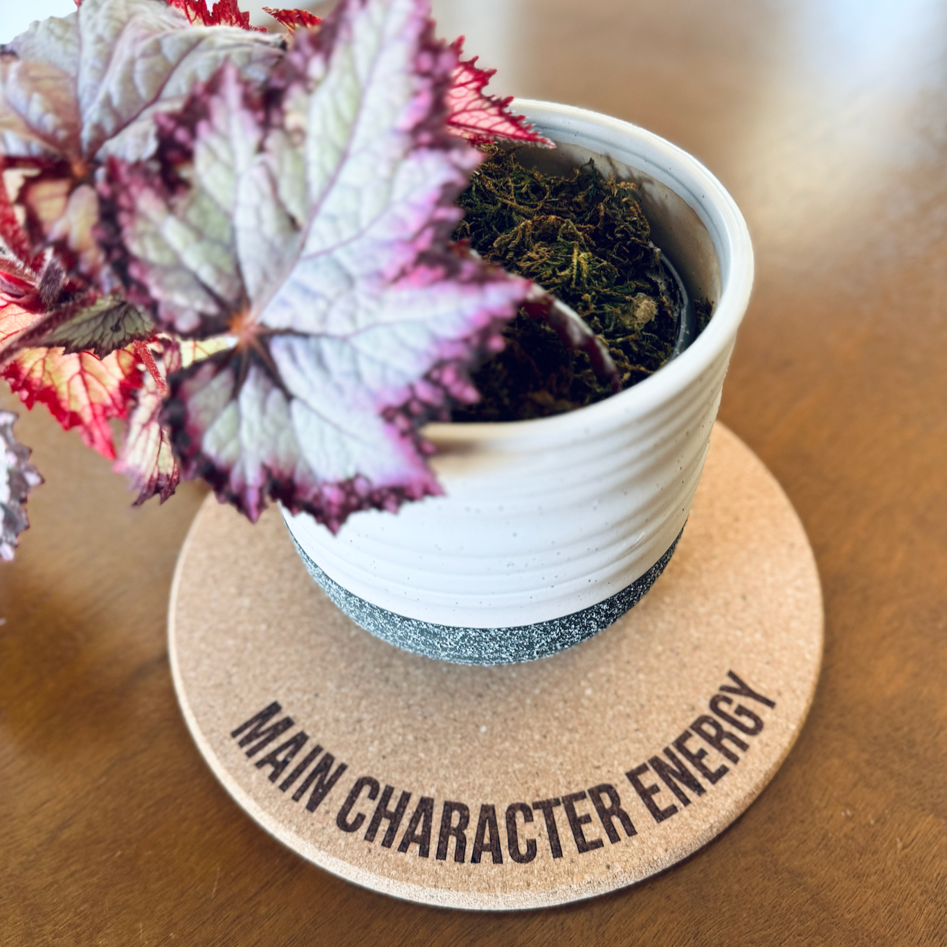 MAIN CHARACTER ENERGY // Funny Cork Plant Mat – Millennial & Gen Z Humor | Surface Protector | Houseplant Accessory