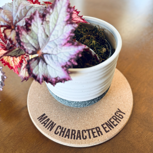 MAIN CHARACTER ENERGY // Funny Cork Plant Mat – Millennial & Gen Z Humor | Surface Protector | Houseplant Accessory