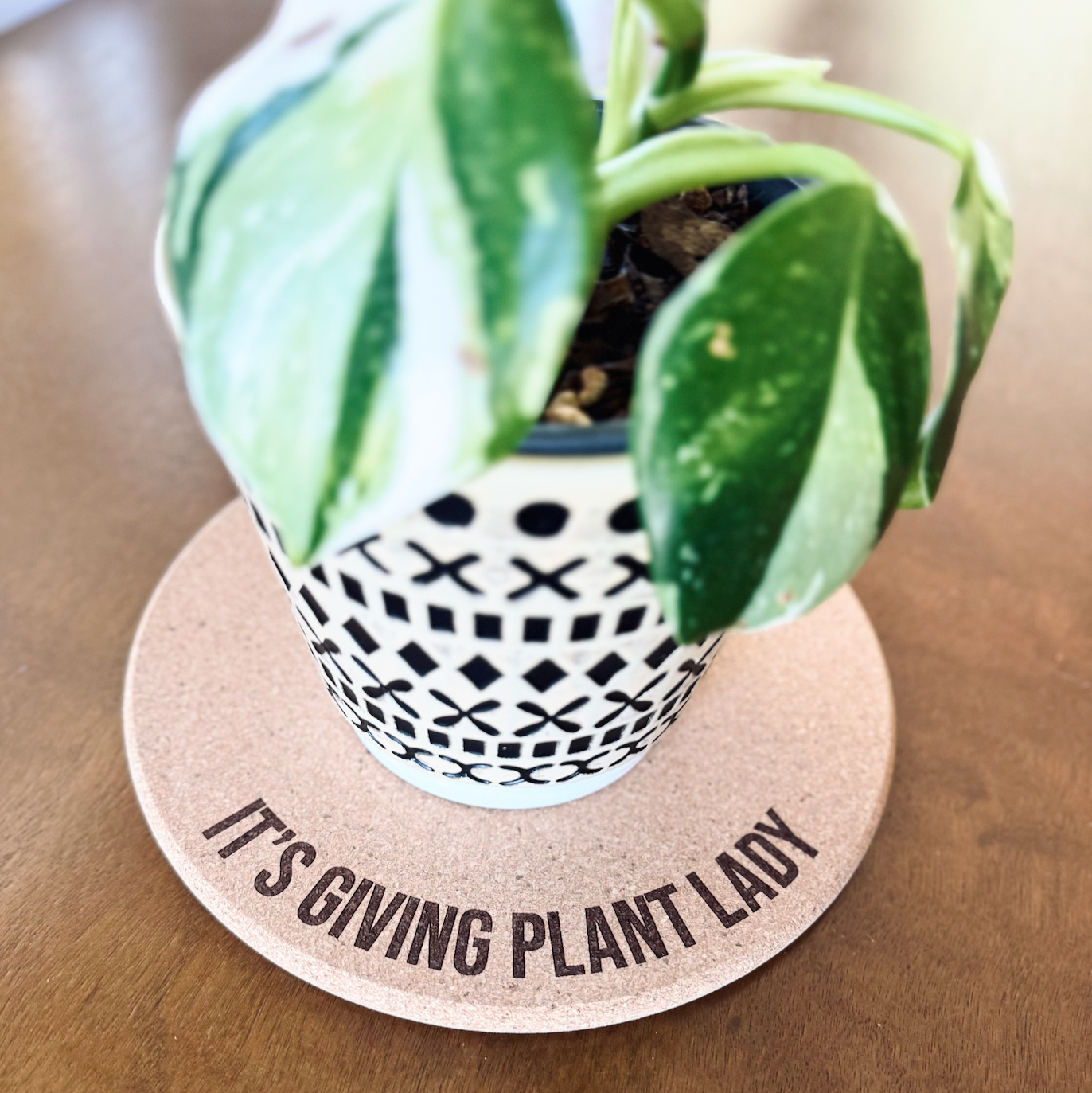 IT'S GIVING PLANT LADY // Funny Cork Plant Mat – Millennial & Gen Z Humor | Surface Protector | Houseplant Accessory