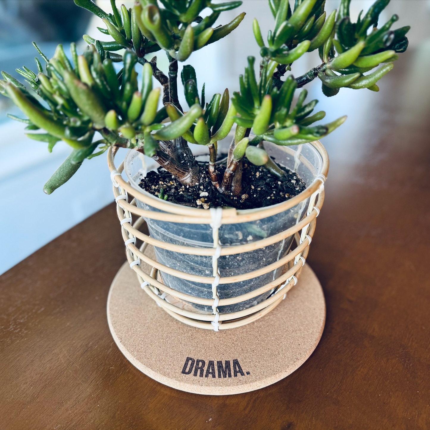 DRAMA. // Funny Cork Plant Mat – Millennial & Gen Z Humor | Surface Protector | Houseplant Accessory